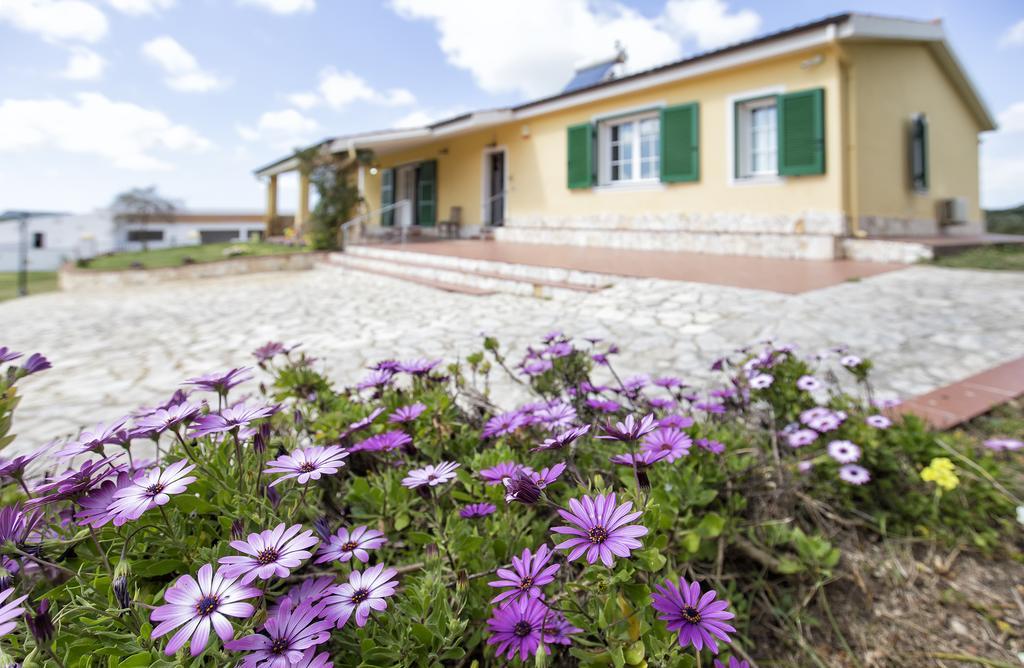 Villa Raimonda Putifigari المظهر الخارجي الصورة